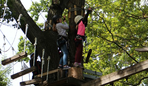 High ropes parks