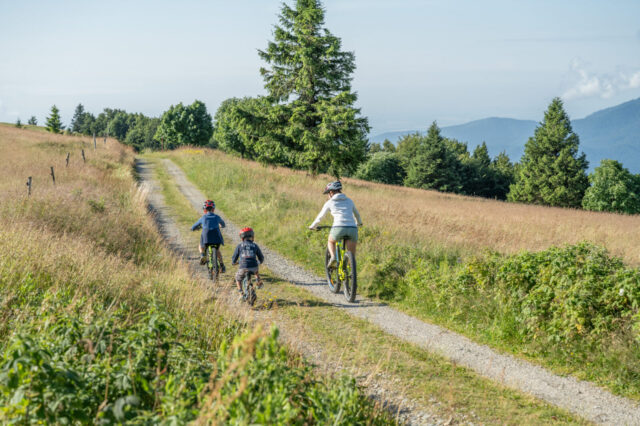 2025 alsace saint amarin rando markstein grand ballon 3 2 - Hautes Vosges d'Alsace - Vallée de Saint-Amarin