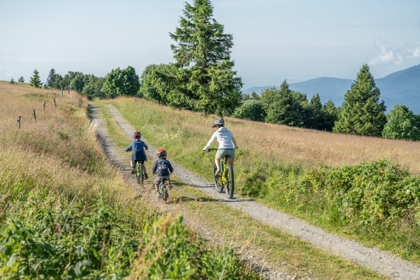 2025 alsace saint amarin rando markstein grand ballon 3 2 - Hautes Vosges d'Alsace - Vallée de Saint-Amarin