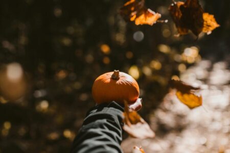 pexels josh hild 1270765 2422503 - Hautes Vosges d'Alsace - Vallée de Saint-Amarin