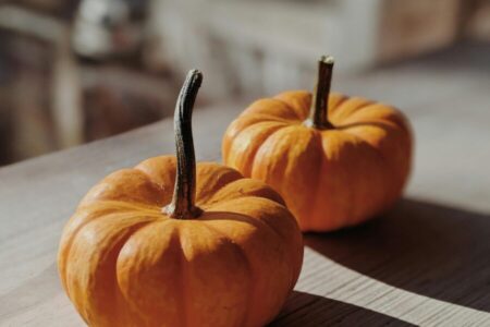 pexels valeriiamiller 3151771 - Hautes Vosges d'Alsace - Vallée de Saint-Amarin