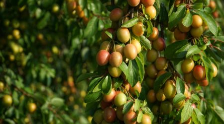 pexels-jakub-n-3880137-30560206